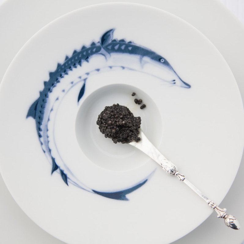 Ocean by Hering Berlin