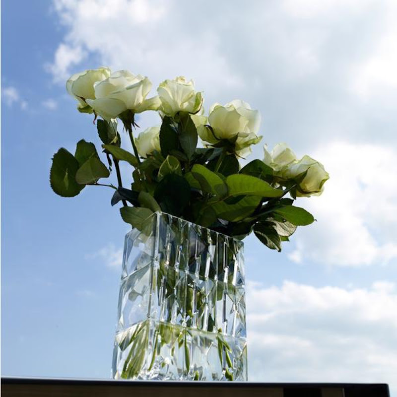 baccarat vase