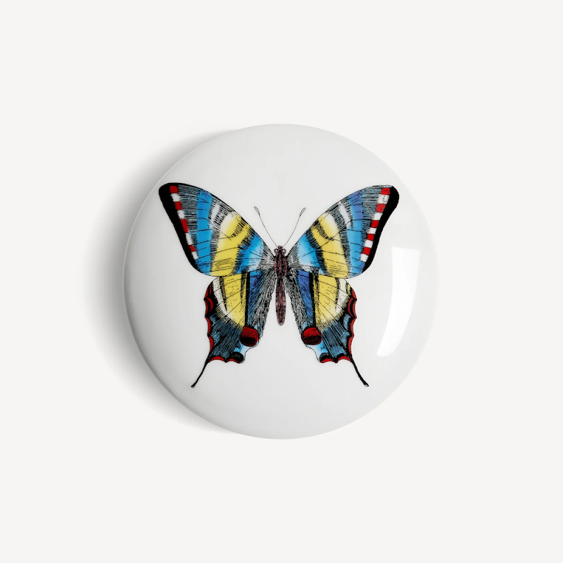 Box round 'Farfalle' by Fornasetti