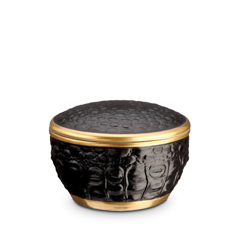 Box "Crocodile" by L'Objet